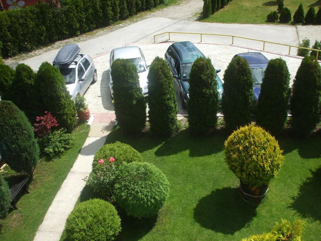 Villa Bozovic Zlatibor Exterior foto